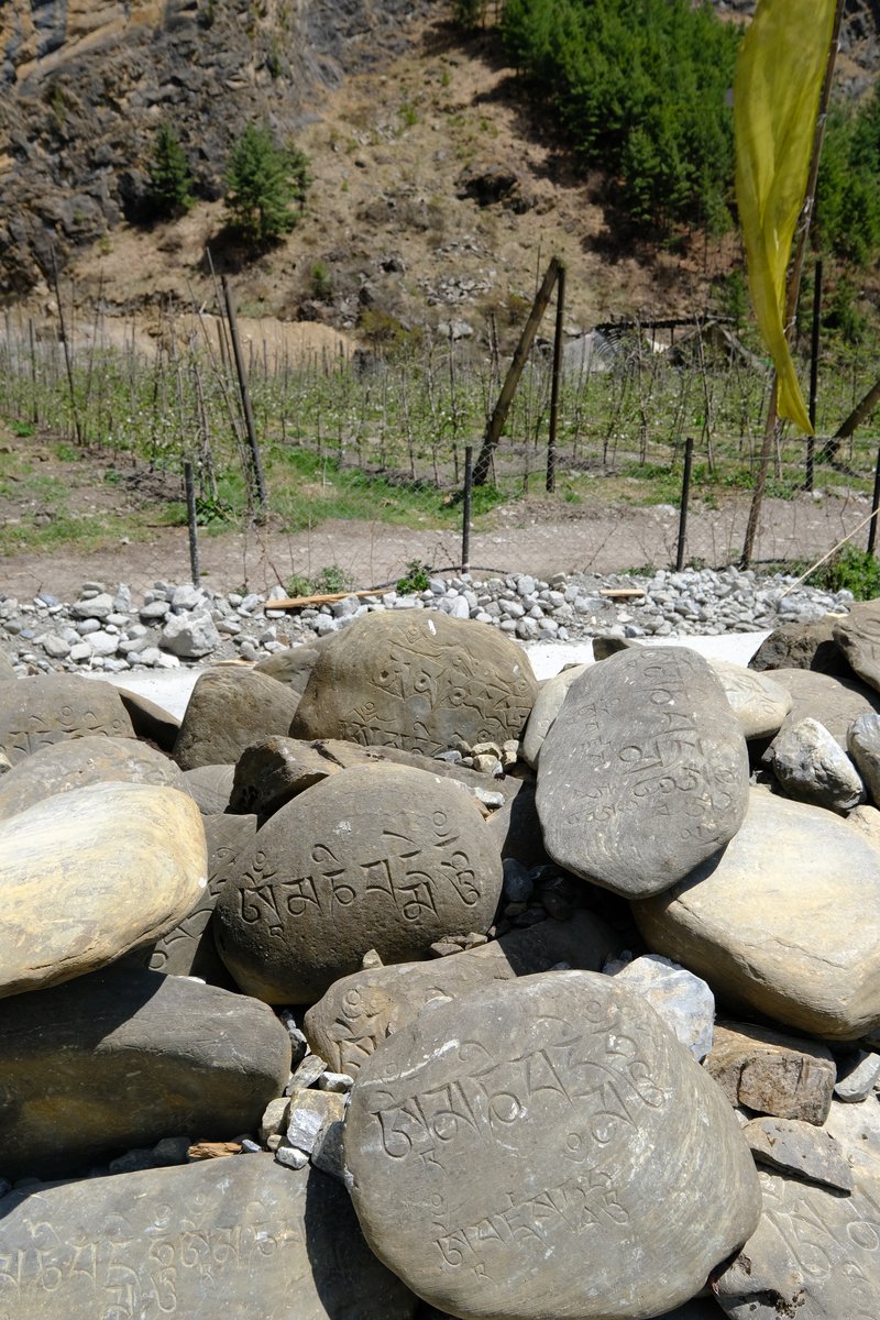 The beautifully hand-carved prayer stones (Mani stones) are a common sight along the route.