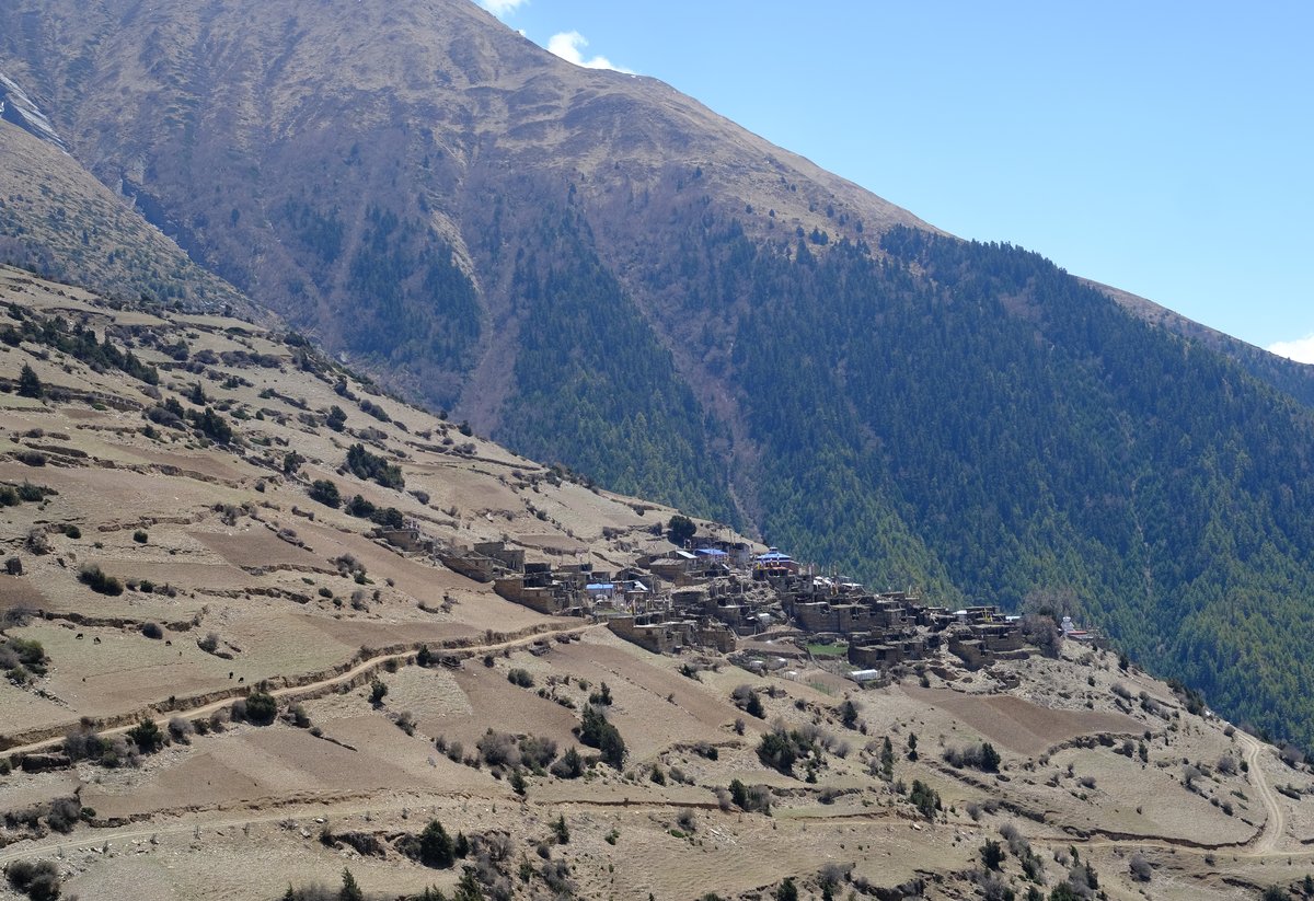 After the steep climb to Ghyaru, it was a level walk to Ngawal. Looking back at the cluster of houses that form Ghyaru