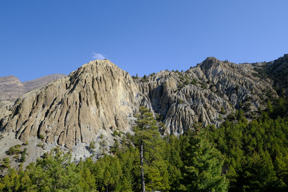 We saw these interesting shapes formed from erosion on the way