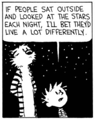 Calvin on the night sky