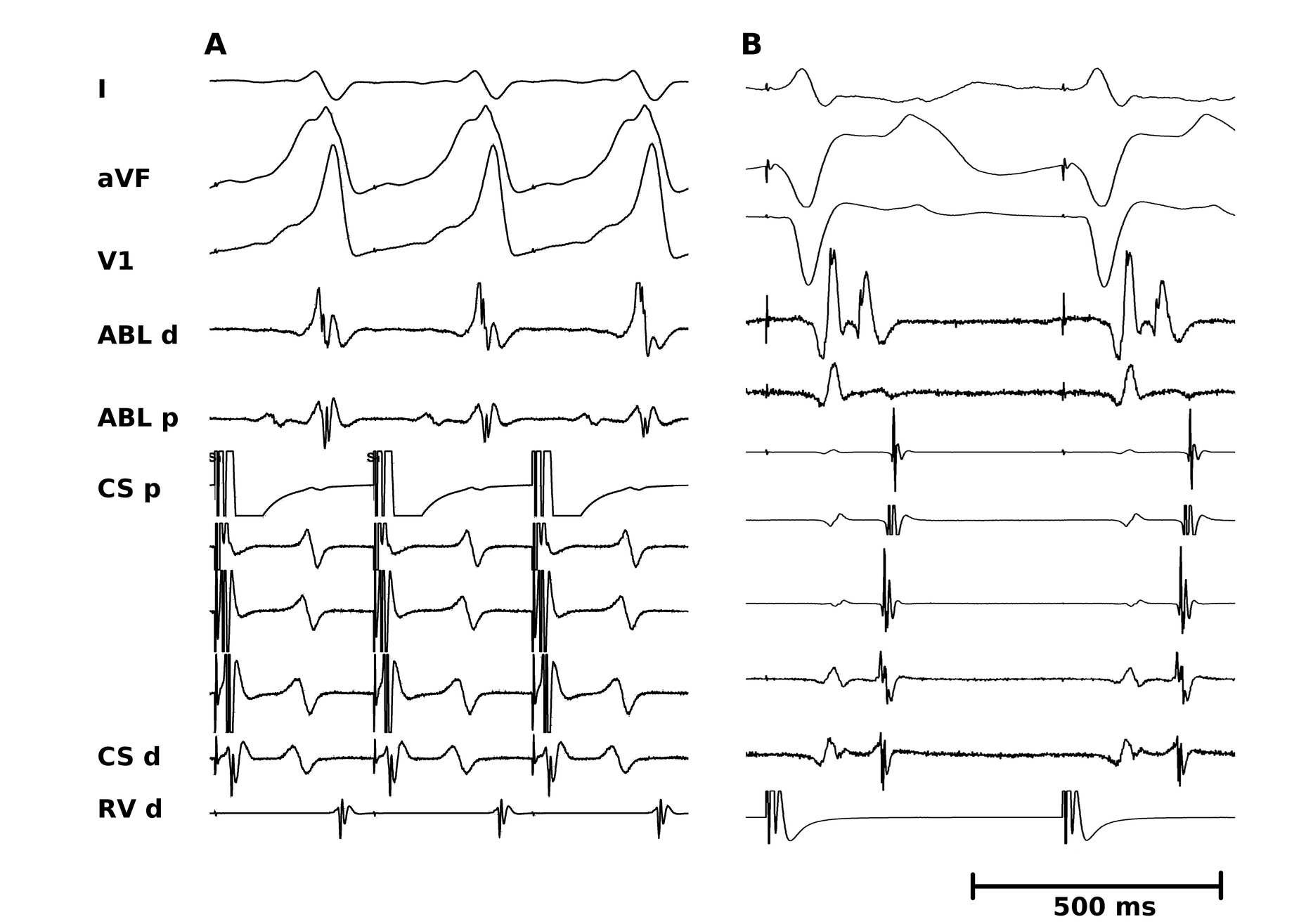 fig2.jpg