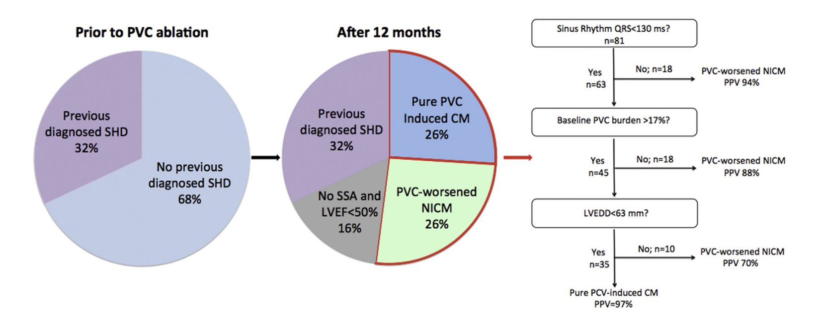 pvc_burden.png